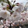 Thumbnail of related posts 164
