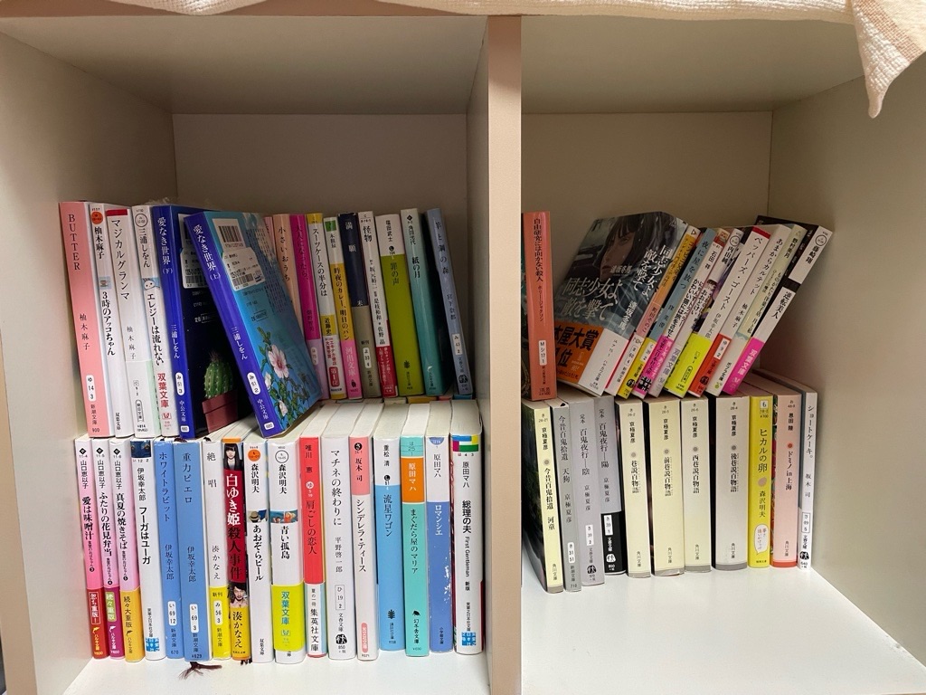 Amazon｜本棚 書類棚 2層 収納棚 キッチントロリー ニードル