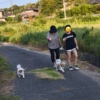 Thumbnail of related posts 189