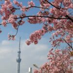 Thumbnail of post image 098