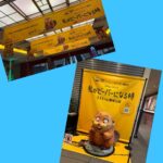 Thumbnail of post image 133