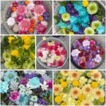Thumbnail of post image 042