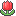 icon:tulip